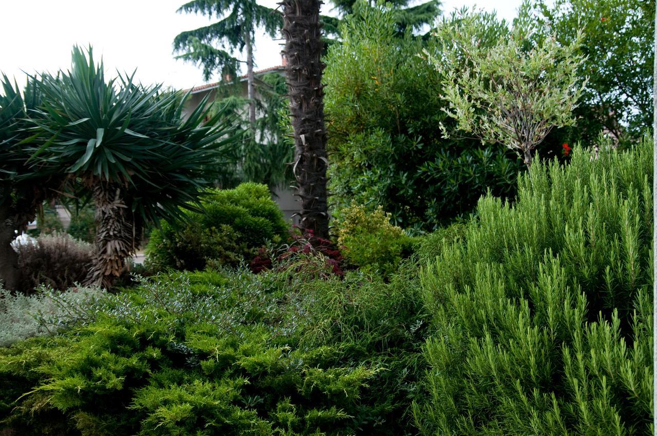 Dr. Igda Apartments Poreč Zewnętrze zdjęcie